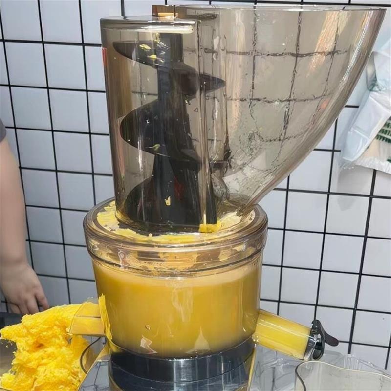 Juicer Cold Press Slow - Mesin Pemeras Kelapa Segar 500W Komersial