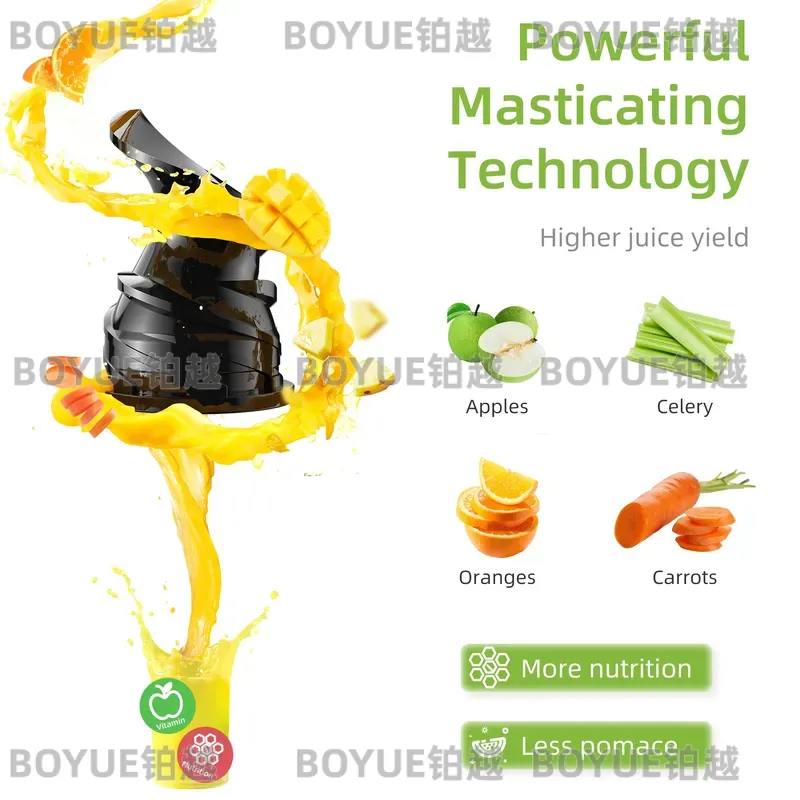 Juicer Cold Press BioloMix den - Juicer Cold Press Slow ulasan dan harga