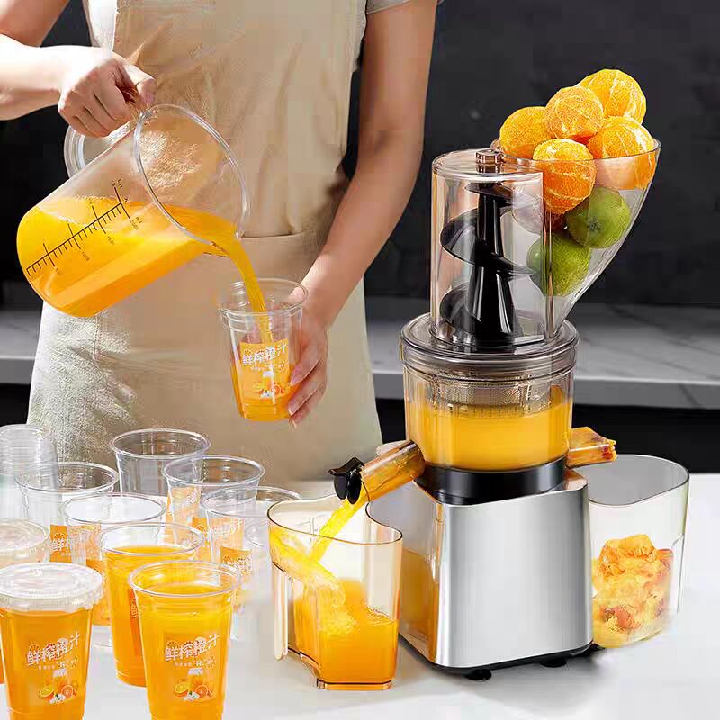 500W Mesin Jus Buah Cold Press - Juicer Cold Press Slow ulasan dan harga